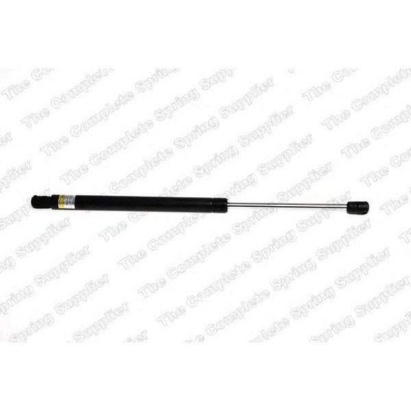 GAS SPRING REAR RENAULT image