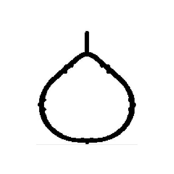 Gasket intake manifold image