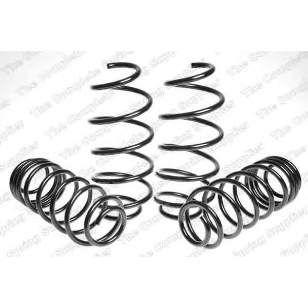 SPORT SPRINGS CITROEN image