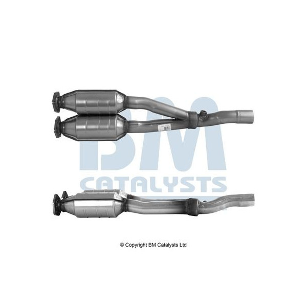 Homologated Petrol Cat image