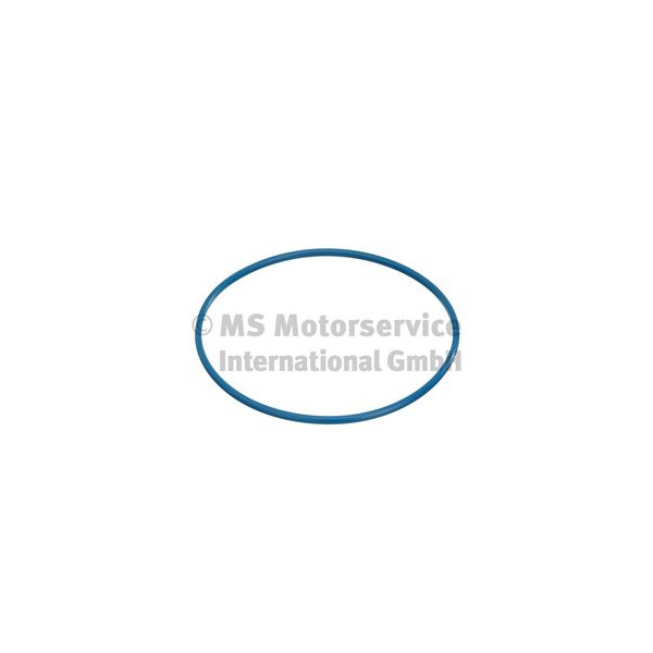 CITROEN / PEUGEOT FUEL TANK SEAL image