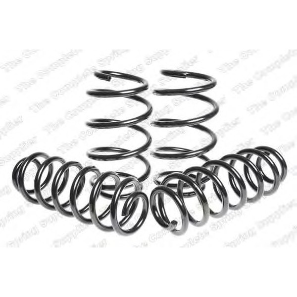 SPORT SPRINGS TUV SKODA image