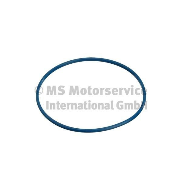 CITROEN / PEUGEOT / TOYOTA FUEL TANK SEAL image