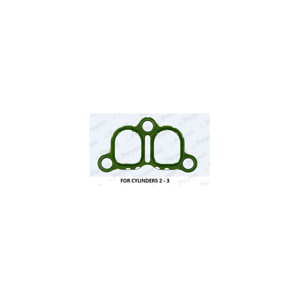 Manifold Gasket image