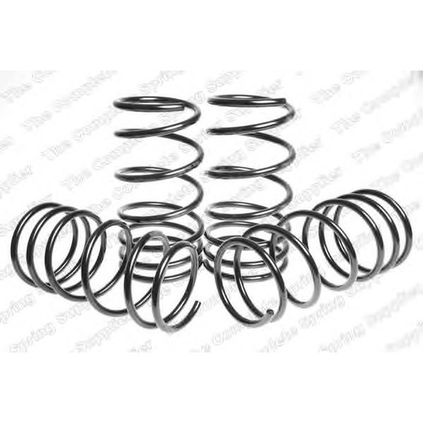 SPORT SPRINGS TUV SUZUKI image