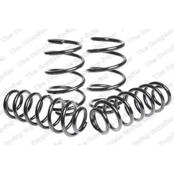 SPORT SPRINGS TUV SEAT image