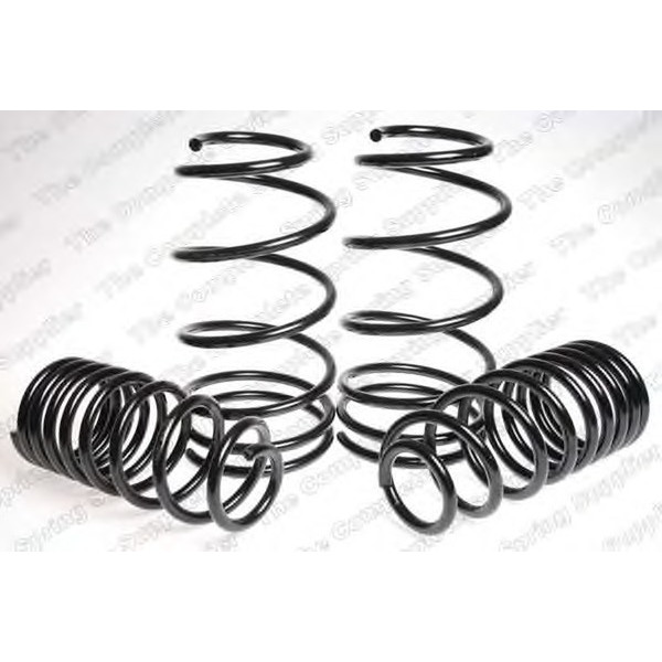 SPORT SPRINGS TUV FIAT image