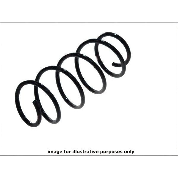 NEOX COIL SPRING  RA3750 image