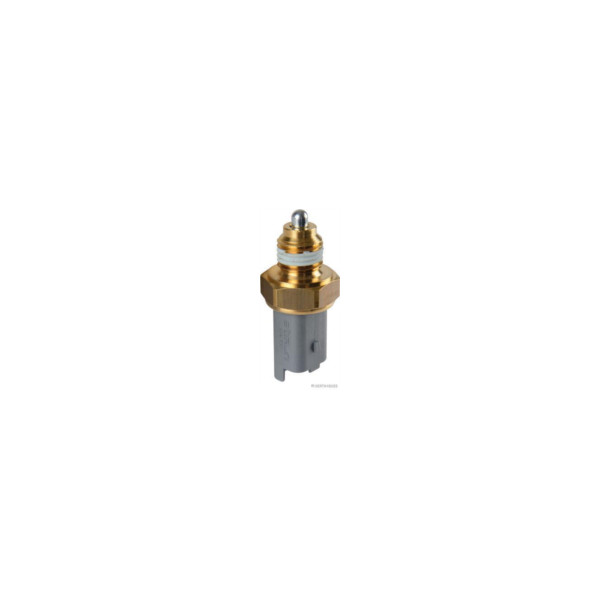 Reverse Light Switch image