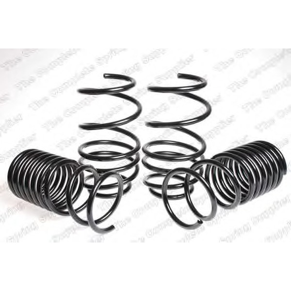 SPORT SPRINGS FIAT image