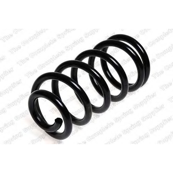 COIL SPRING REAR ROVER image