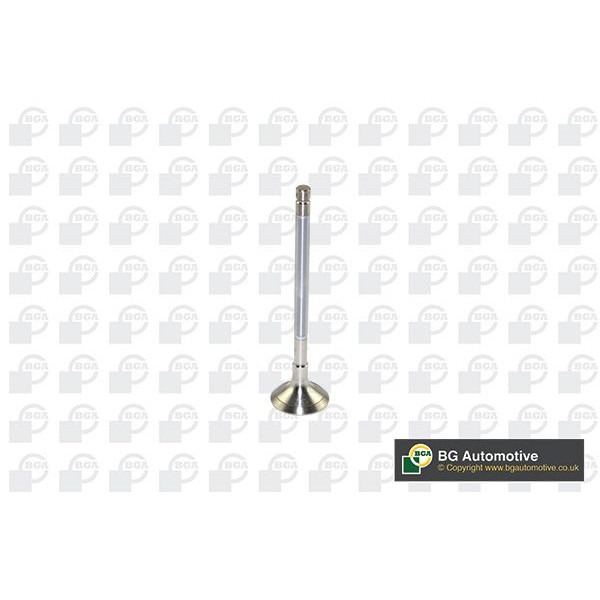 Exhaust Valve image