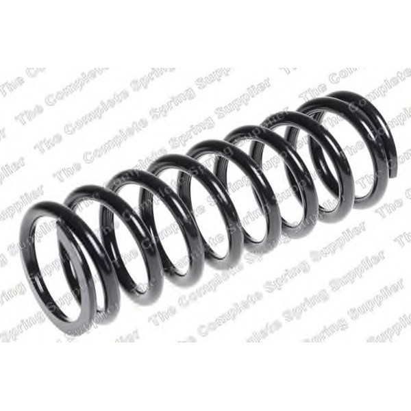 COIL SPRING REAR JAGUAR image