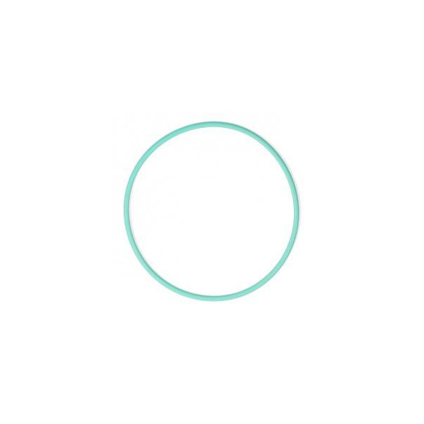 CITROEN / FIAT / IVECO / LANCIA / PEUGEOT FUEL TANK SEAL image