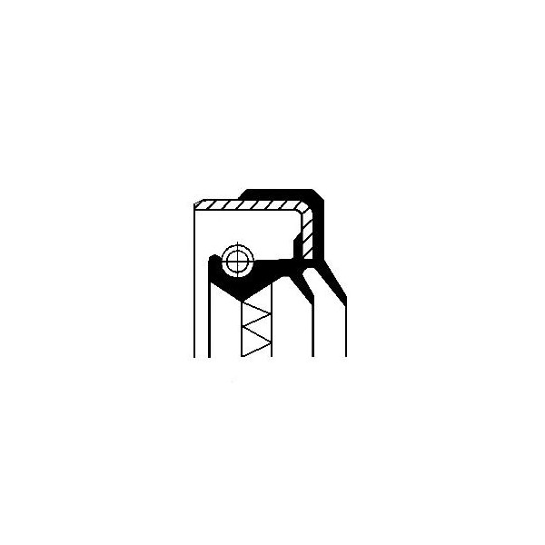 Radial Shaft Seal / RSS image