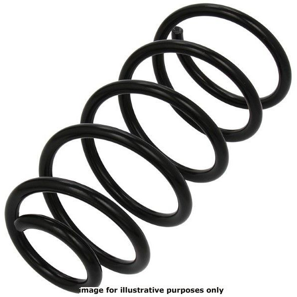 NEOX COIL SPRING  RH2953 image