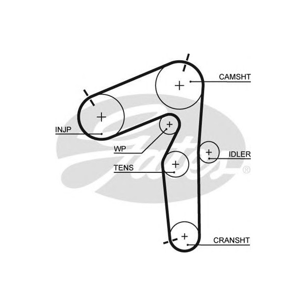 TIMING BELT image