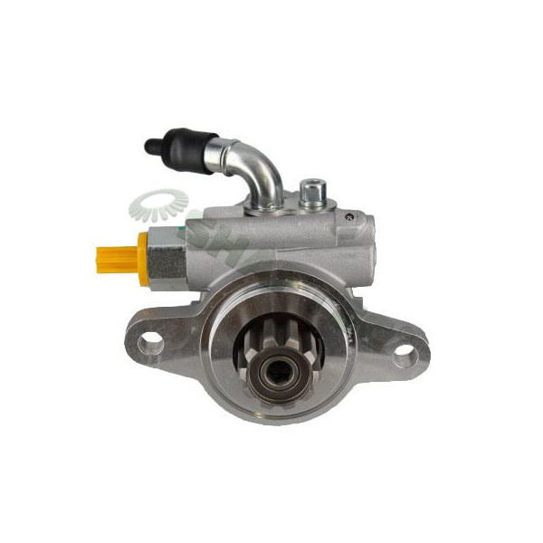 Steering Pumps image
