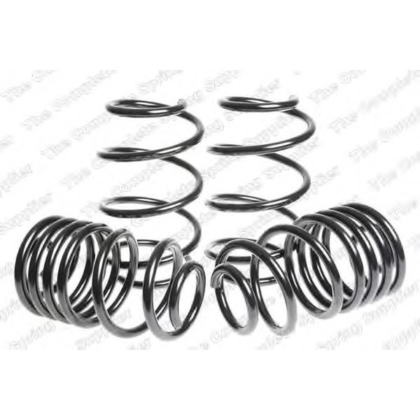 SPORT SPRINGS RENAULT image