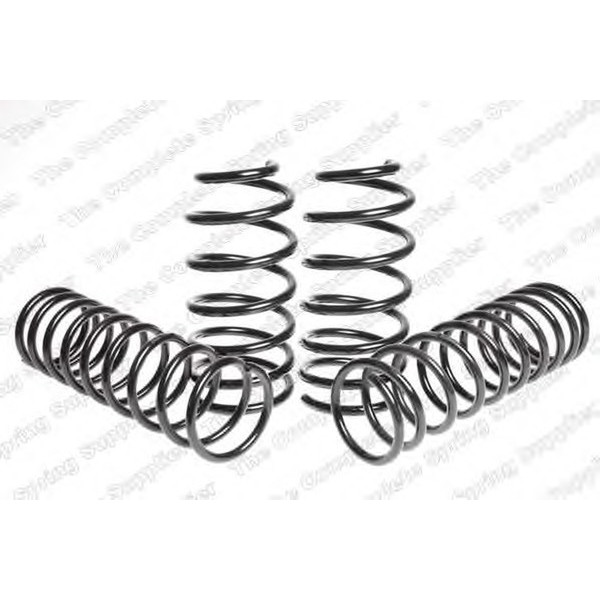 SPORT SPRINGS TUV FORD image