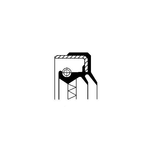 Radial Shaft Seal / RSS image