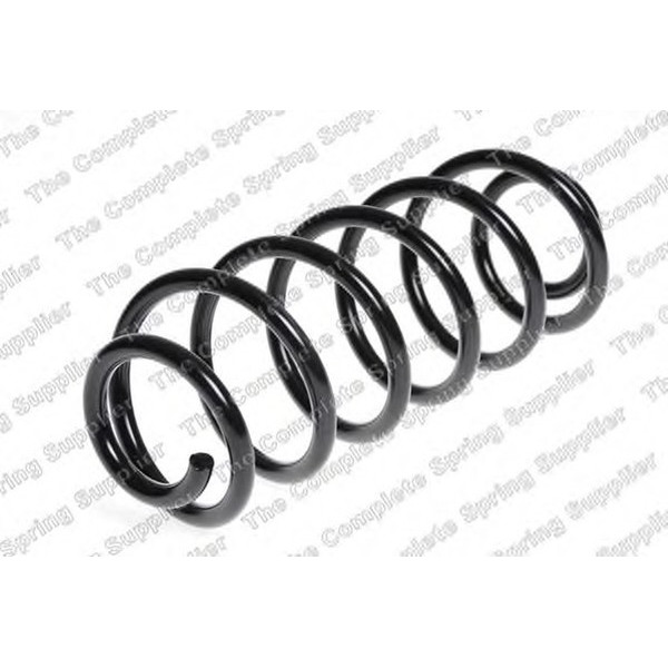 COIL SPRING REAR FORD H/D image