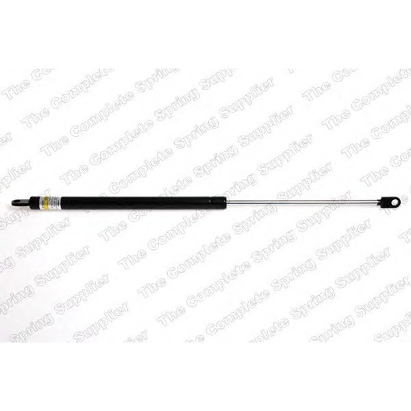 GAS SPRING REAR FIAT image