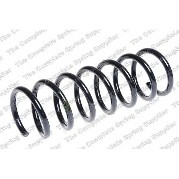 COIL SPRING REAR FORD image