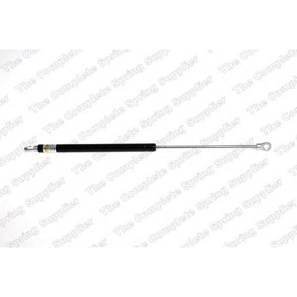 GAS SPRING FRONT JAGUAR image