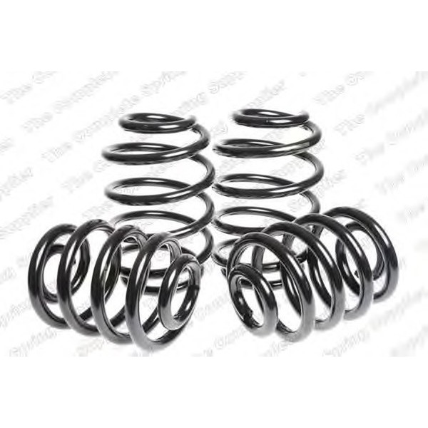 SPORT SPRINGS TUV SEAT image