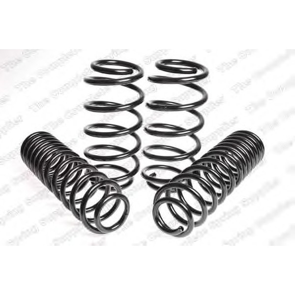 SPORT SPRINGS TUV AUDI image