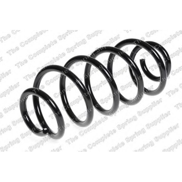 COIL SPRING REAR FIAT H/D image
