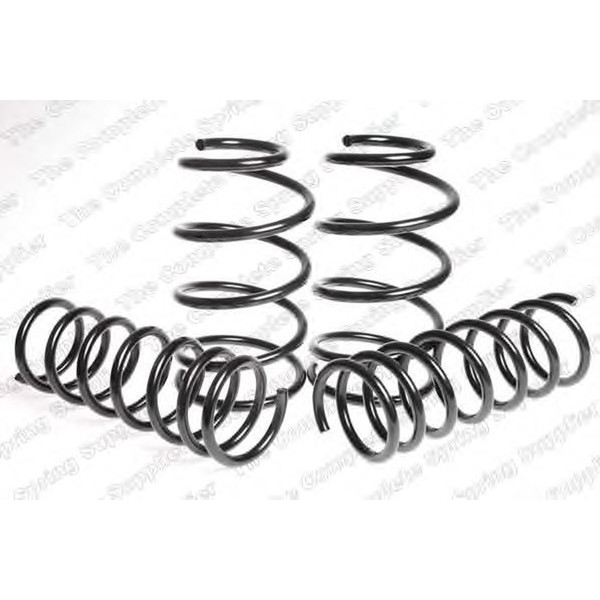 SPORT SPRINGS TUV FORD image